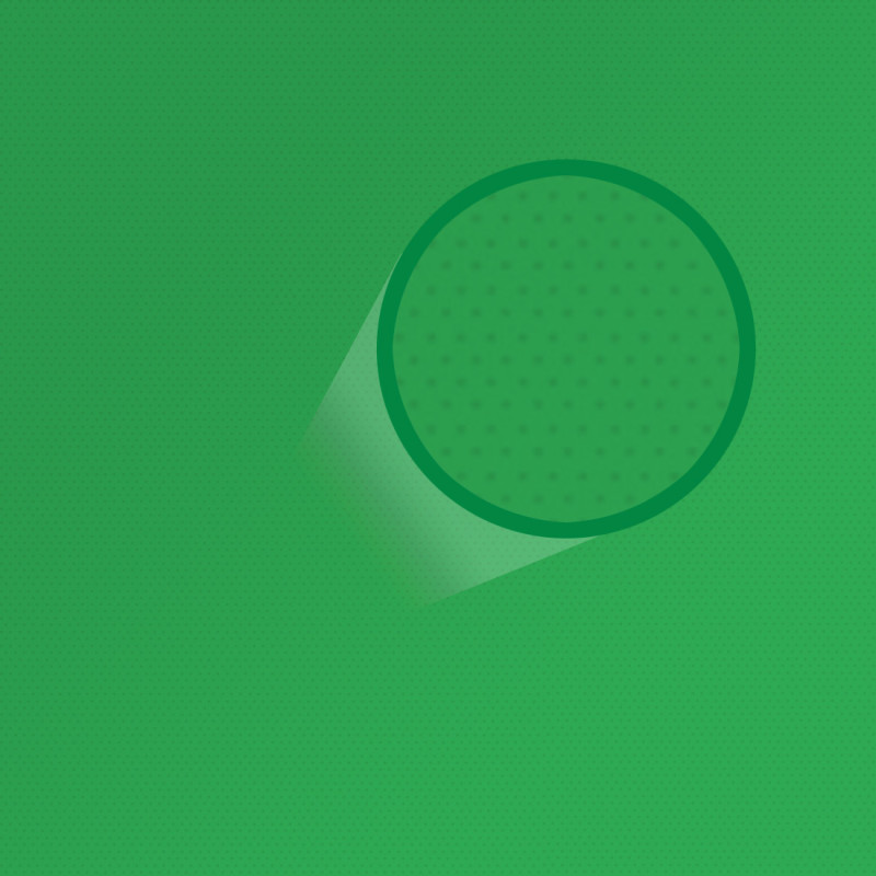 BaseXStudio™ zestaw z GreenScreen 2x 40x40 65W