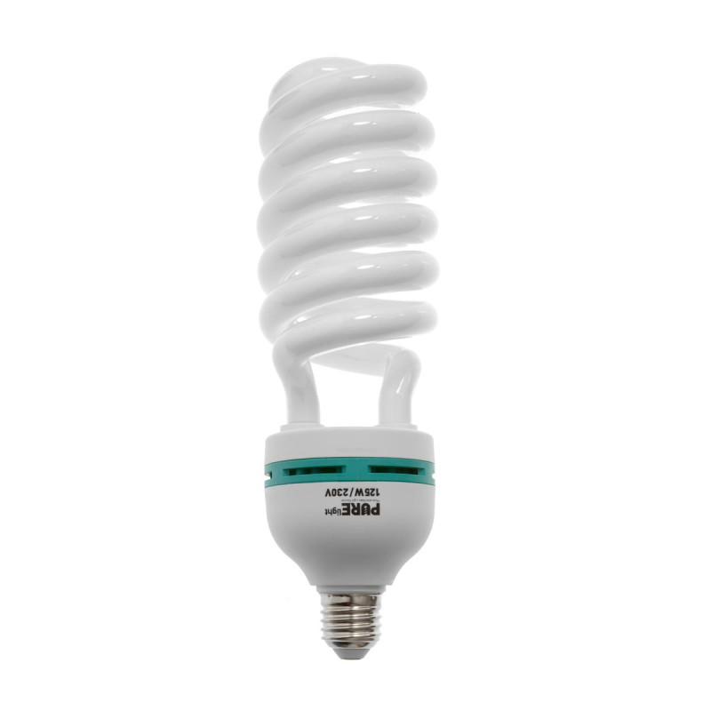 BaseXStudio™ zestaw z GreenScreen 2x 40x60 125W