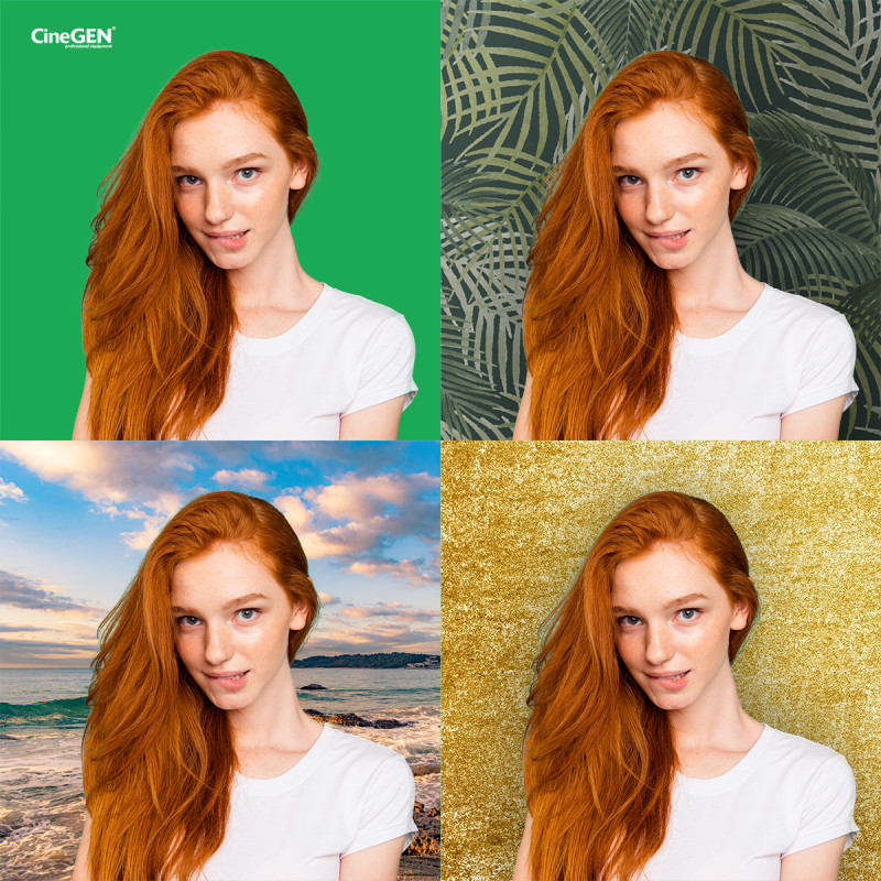 BaseXStudio™ zestaw z GreenScreen 2x 50x70 65W