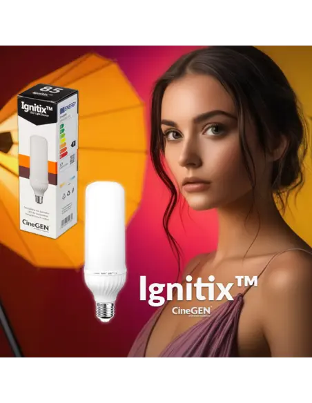 Żarówka LED Ignitix 85W/20W 4szt.