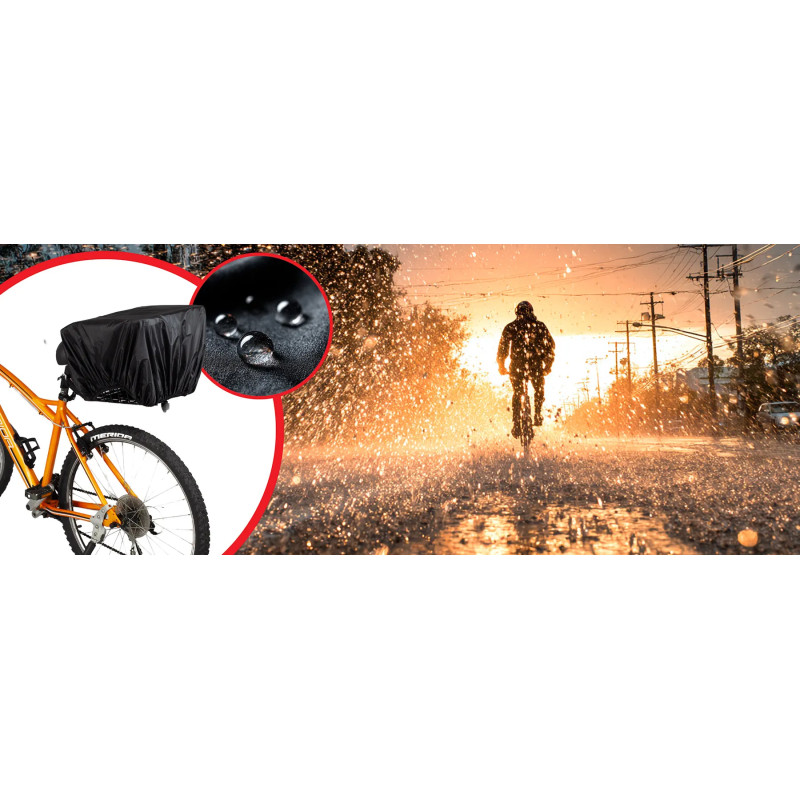 Bicycle Rack Closed Basket with Cover | Ringmehr