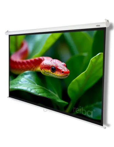 Parker™ 100 Projection Screen 220x125