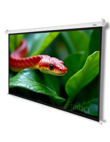 Parker™ 105 Projection Screen 220x150