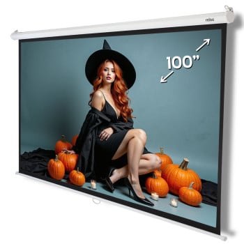 Elektrische Leinwand Maxwell™100 200x150 cm | reiba