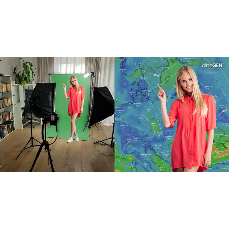 Zestaw DELUXStudio GreenScreen 8x65W 40x40cm