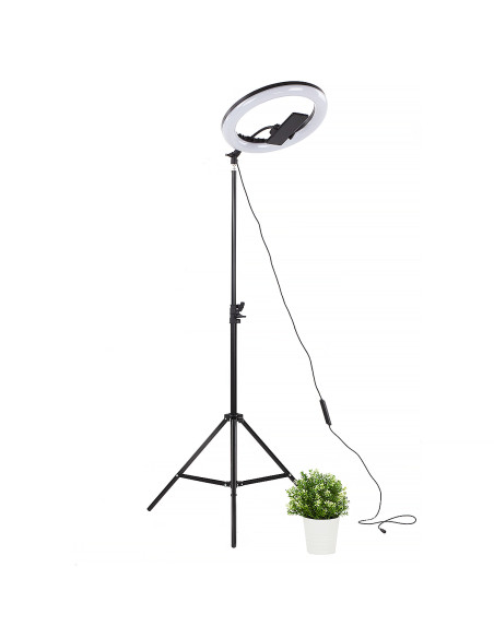 Lampa Ring Light dwa piloty torba statyw 210cm 70W