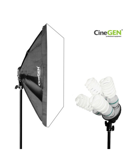 Lampa SOFTBOX 50x70 4x65W 802